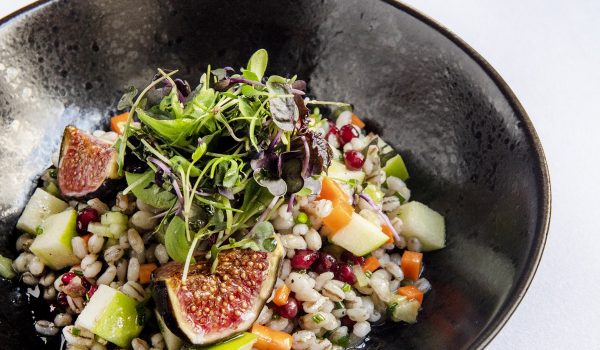 WORLD VEGAN MONTH
