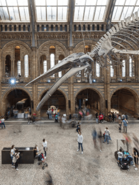 Natural History Museum