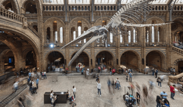 Natural History Museum